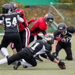Wolves U16 galéria