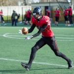 Budapest Wolves vs. Styrian Bears 2015.03.28.